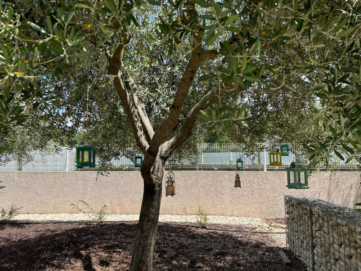 Au Ciel Etoile Panzió Castillon-du-Gard Kültér fotó